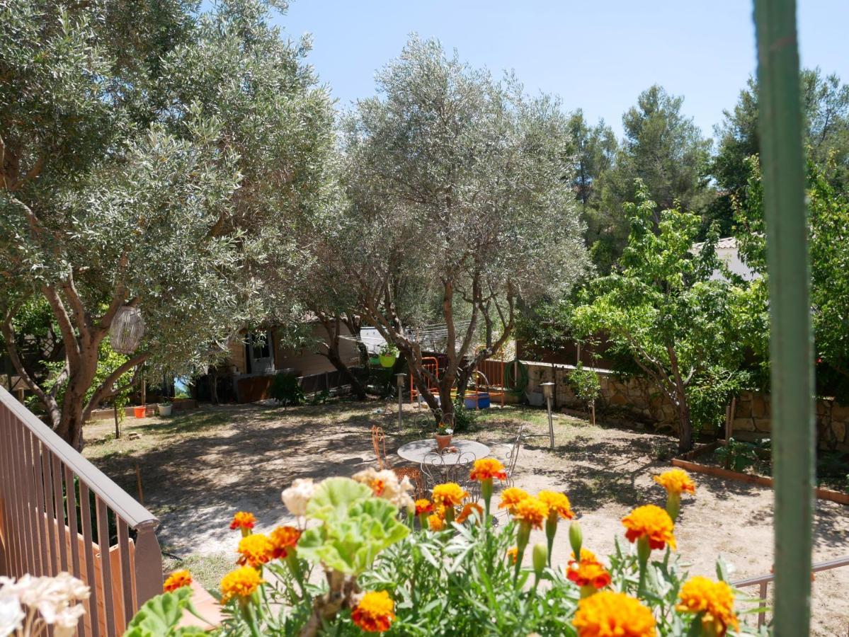 Nature Hostel ลาซิโอตาต์ ภายนอก รูปภาพ