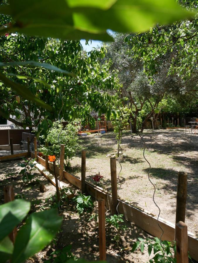 Nature Hostel ลาซิโอตาต์ ภายนอก รูปภาพ